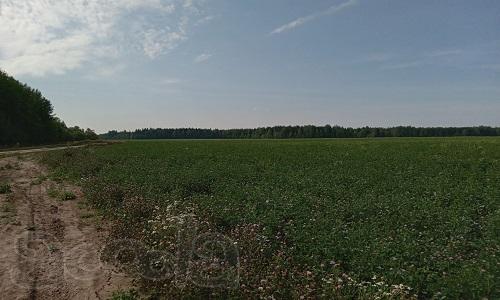 Земельный участок 96089 соток Пермский край
